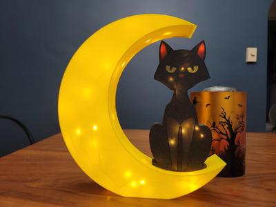 Cat On Moon Lamp.       (Non multi color printer options)