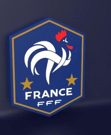 France National Team (FFF) - LED strip compatible