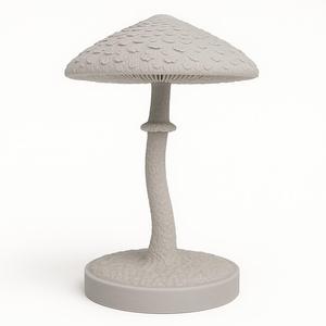  Macrolepiota procera