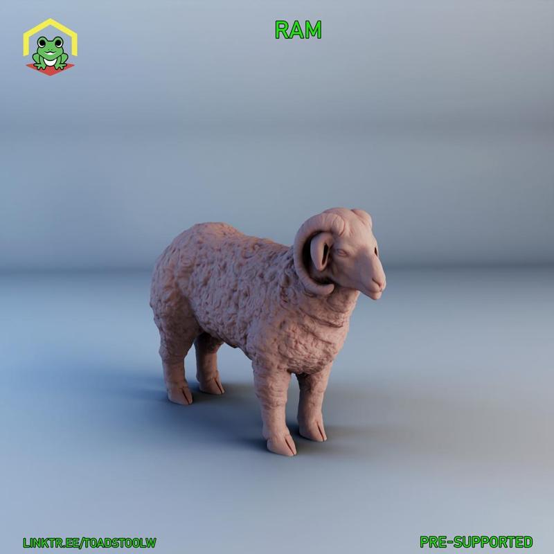 Ram