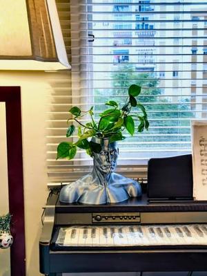 Human Head Plant Pot