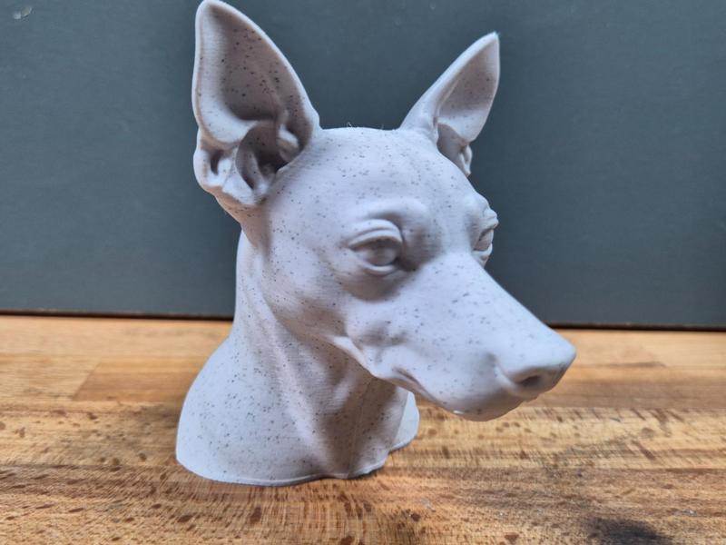 Miniature Pinscher Bust