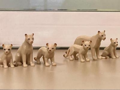 Miniature puma families