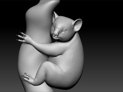 koala