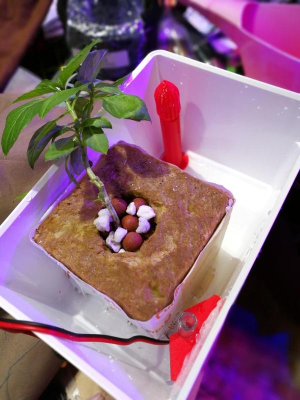 Tabletop Ebb and Flow kit