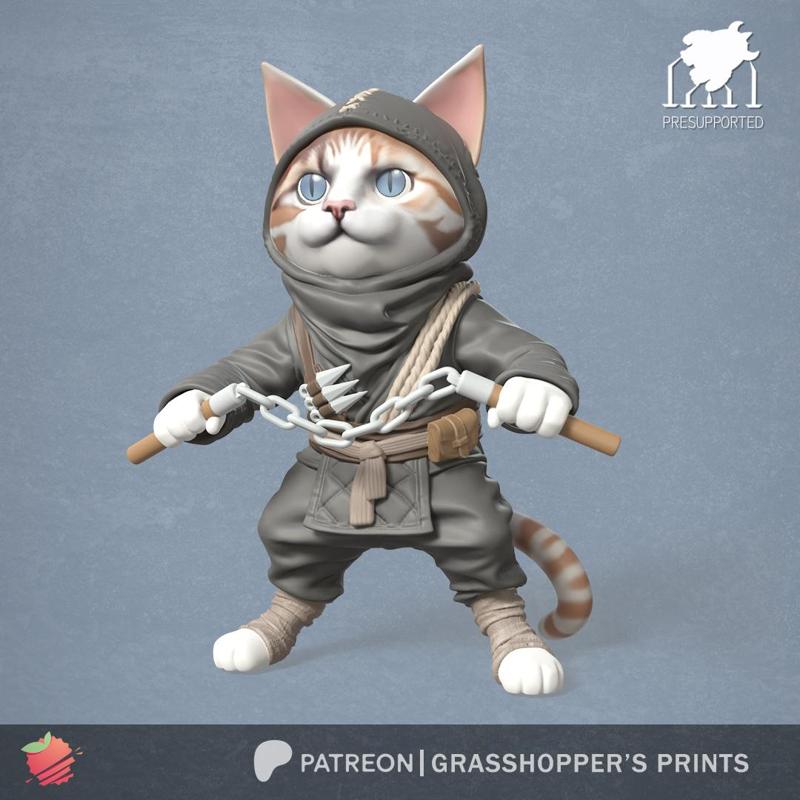 Ninja Cat Nunchaku