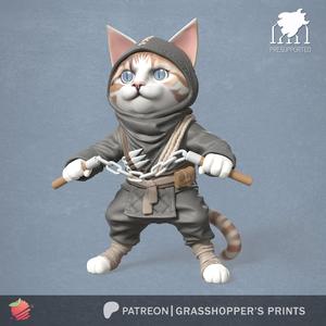 Ninja Cat Nunchaku