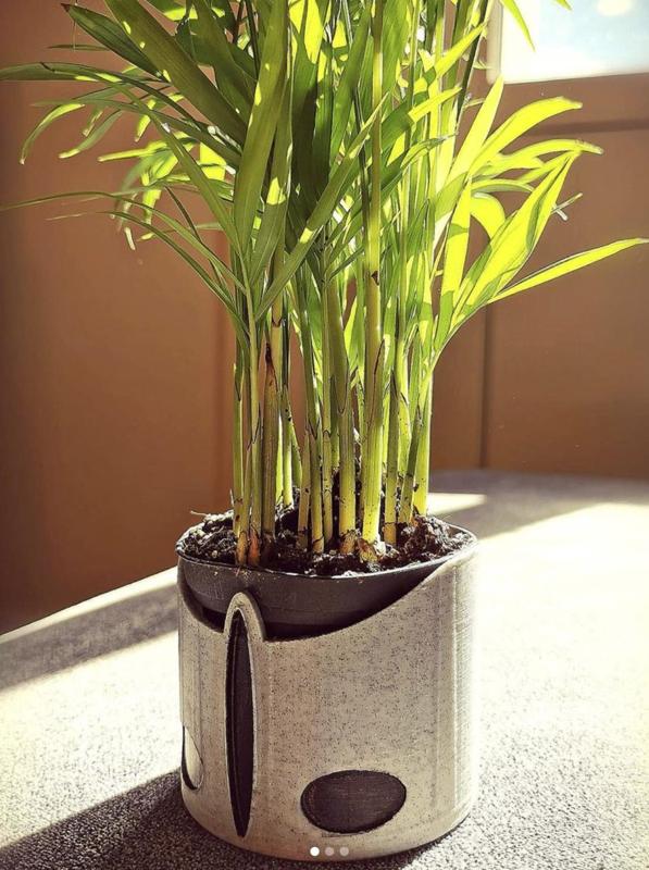 Plant vase