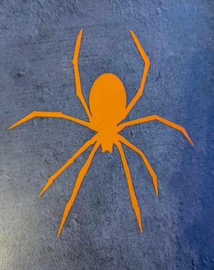 Spider