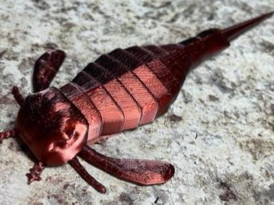 Sea Scorpion, Euripterus remipes
