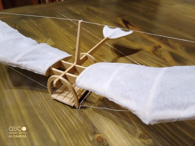 Leonardo Da Vinci's glider