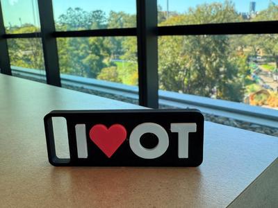 Occupational Therapy Keychain