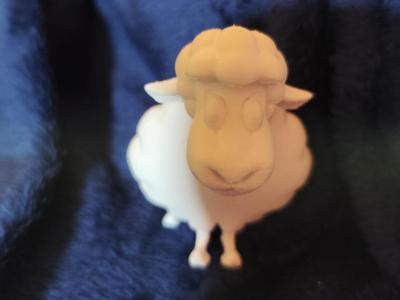 Funny Woolly Sheep