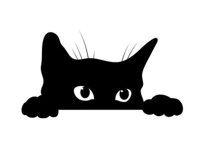 Topper Cat spying