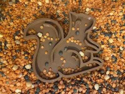 vulvorm eekhoorn / tray squirrel