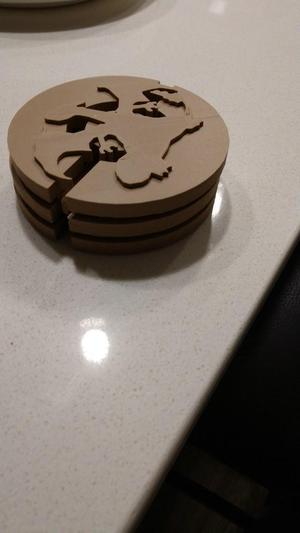 Pokemon Coasters