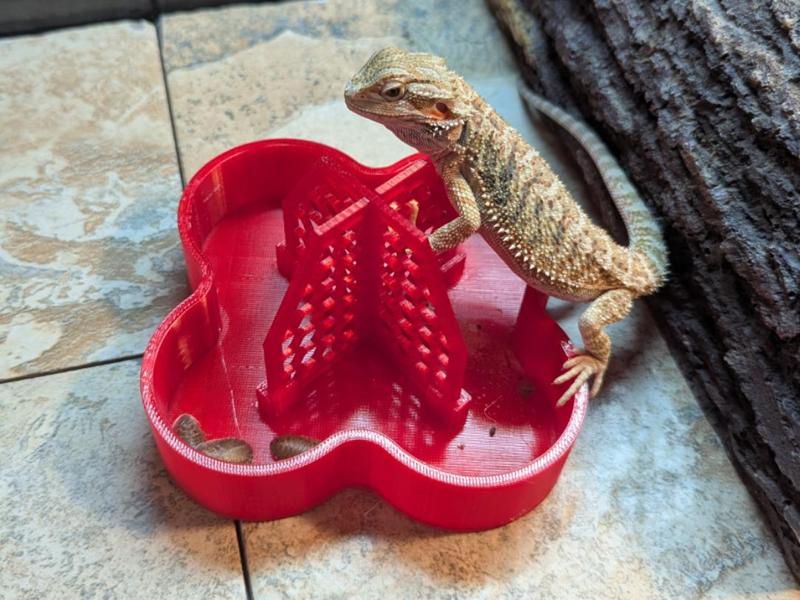 Bug Tower Reptile Feeder