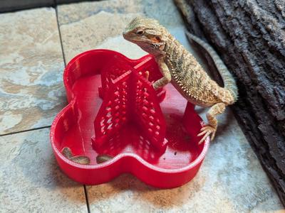 Bug Tower Reptile Feeder