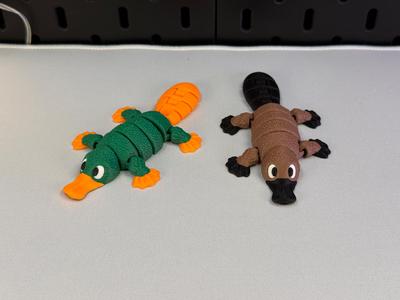Articulated Cute Platypus
