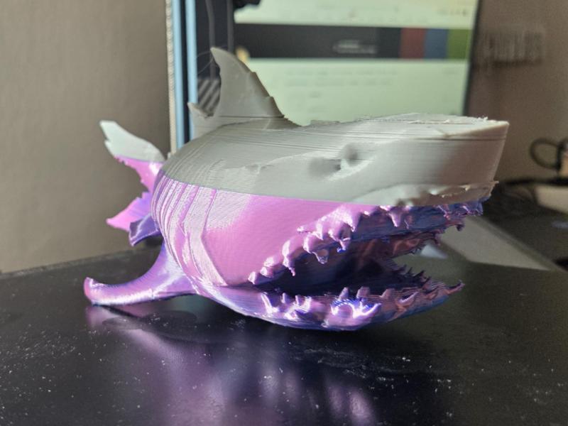 megalodon shark Sea of Thieves