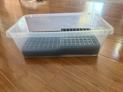 Tray for incubating eggs