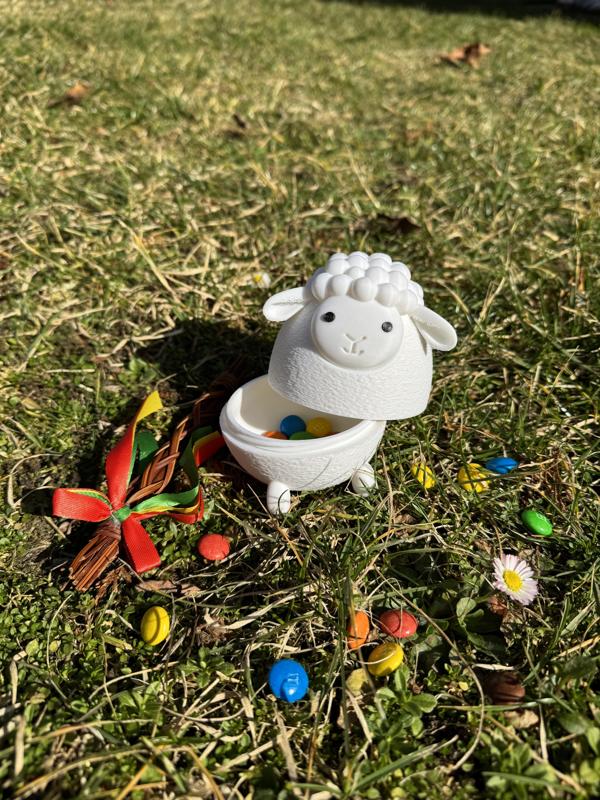 Cute Easter Sheep