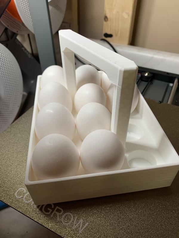 Egg Carton Holder