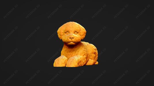 Bichon Frise Dog 3D Print Model Pose 08