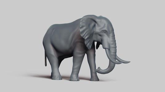 african elephant pose 03