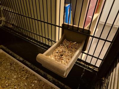 Bird Feeding Platform for cage