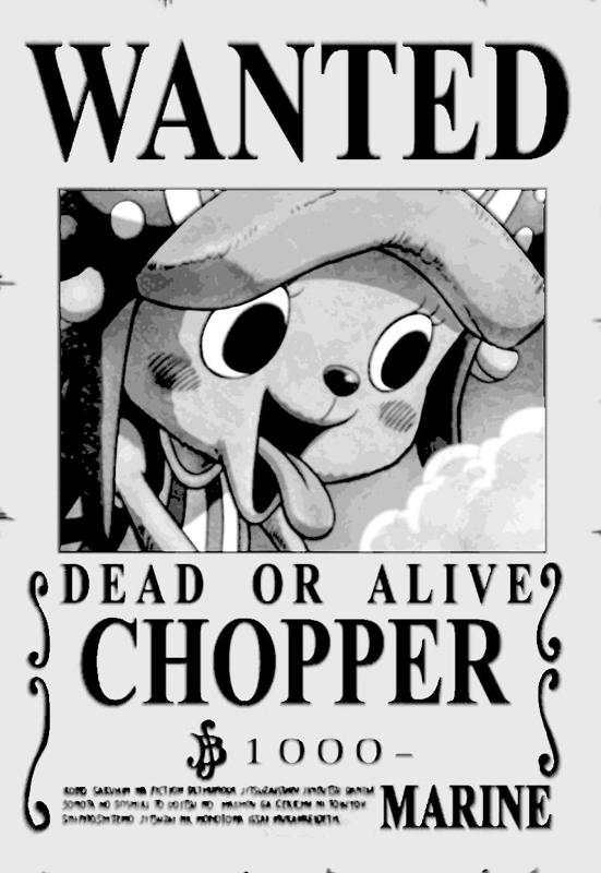 OnePiece Chopper Steckbrief Nr.3 Wanted HueForge