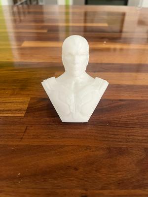 Marvel Vision Bust