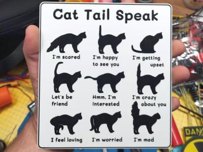 Cat tail speak