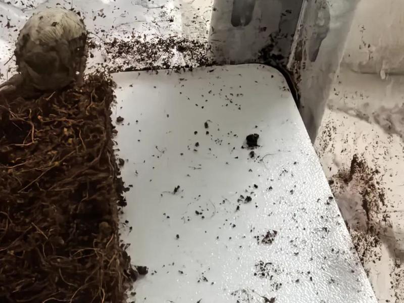 Hermit crab water bowl support stand prevents slow subsidence