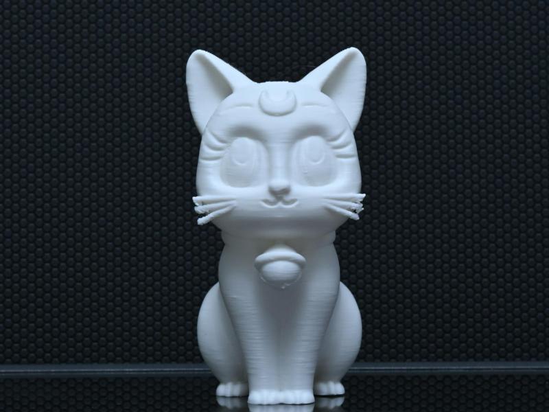 Cute Cat