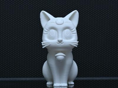 Cute Cat