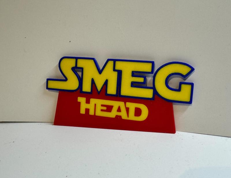 Smeg Head Magnet
