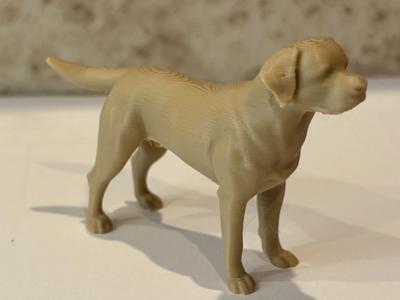 Labrador Dog standing Decor