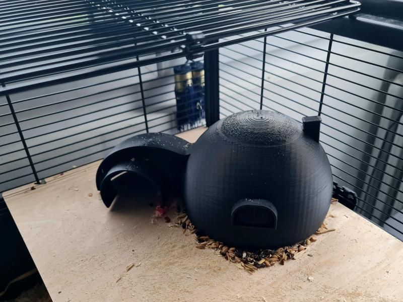 Golden Hamster House (or Syrian hamster)