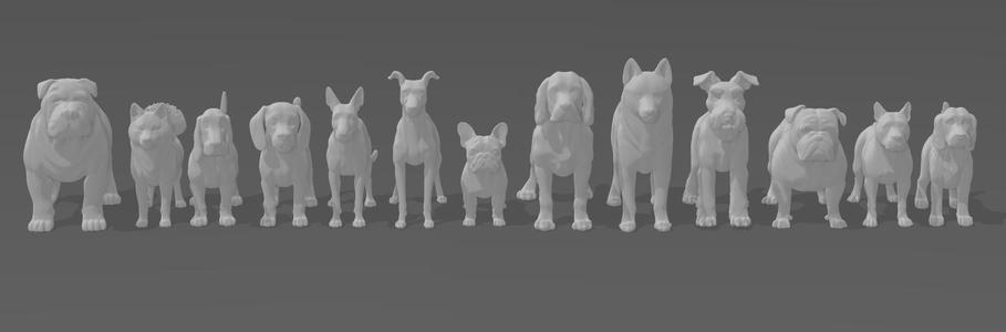 Miniatures - Medium Breed Dogs
