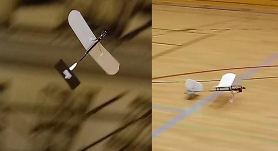 Floo3dPrint rc aircraft/airplane for the hall. Extremely light