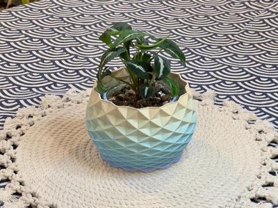 Geometric Planter