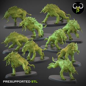 Fel pack full Squad