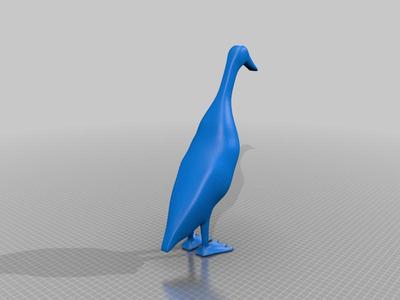 Indian Runner Duck