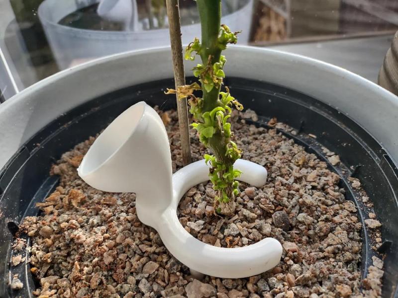 Multi-spike plant pot watering funnel   