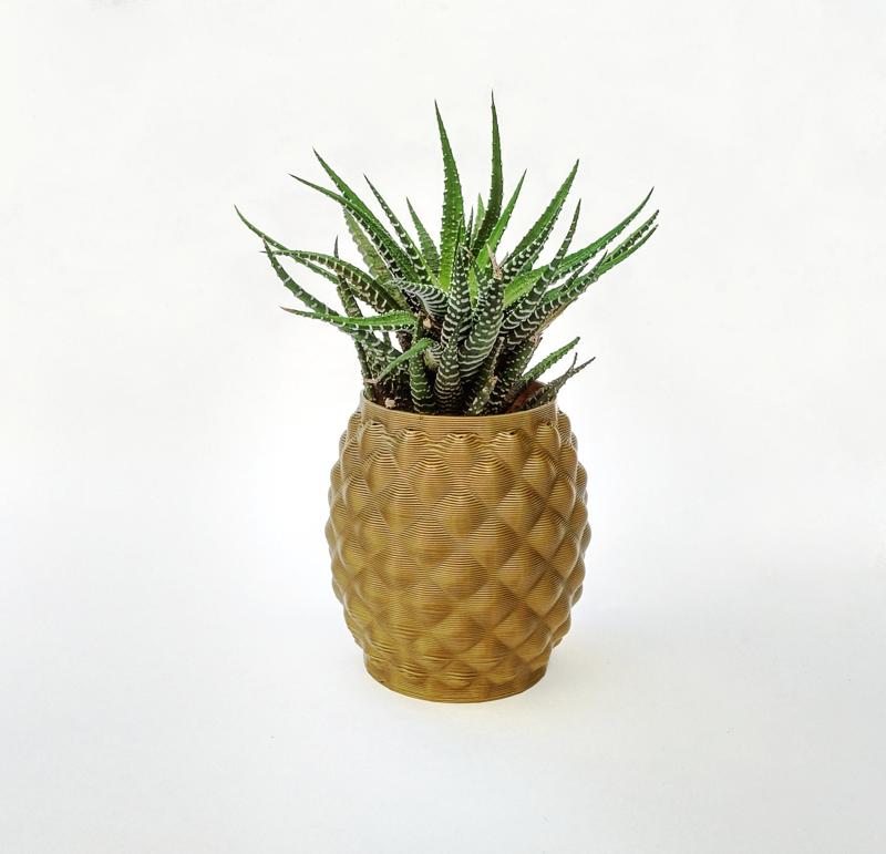 Pineapple planter