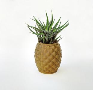 Pineapple planter