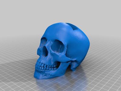 Skull Card Holder