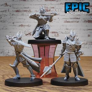Platinum Paladin Set ‧ DnD Miniature ‧ Tabletop Miniatures ‧ Gaming Monster ‧ 3D Model ‧ RPG ‧ DnDminis ‧ STL FILE