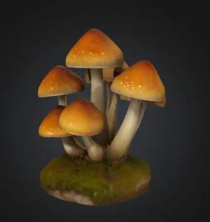 Decorative Mushroom   